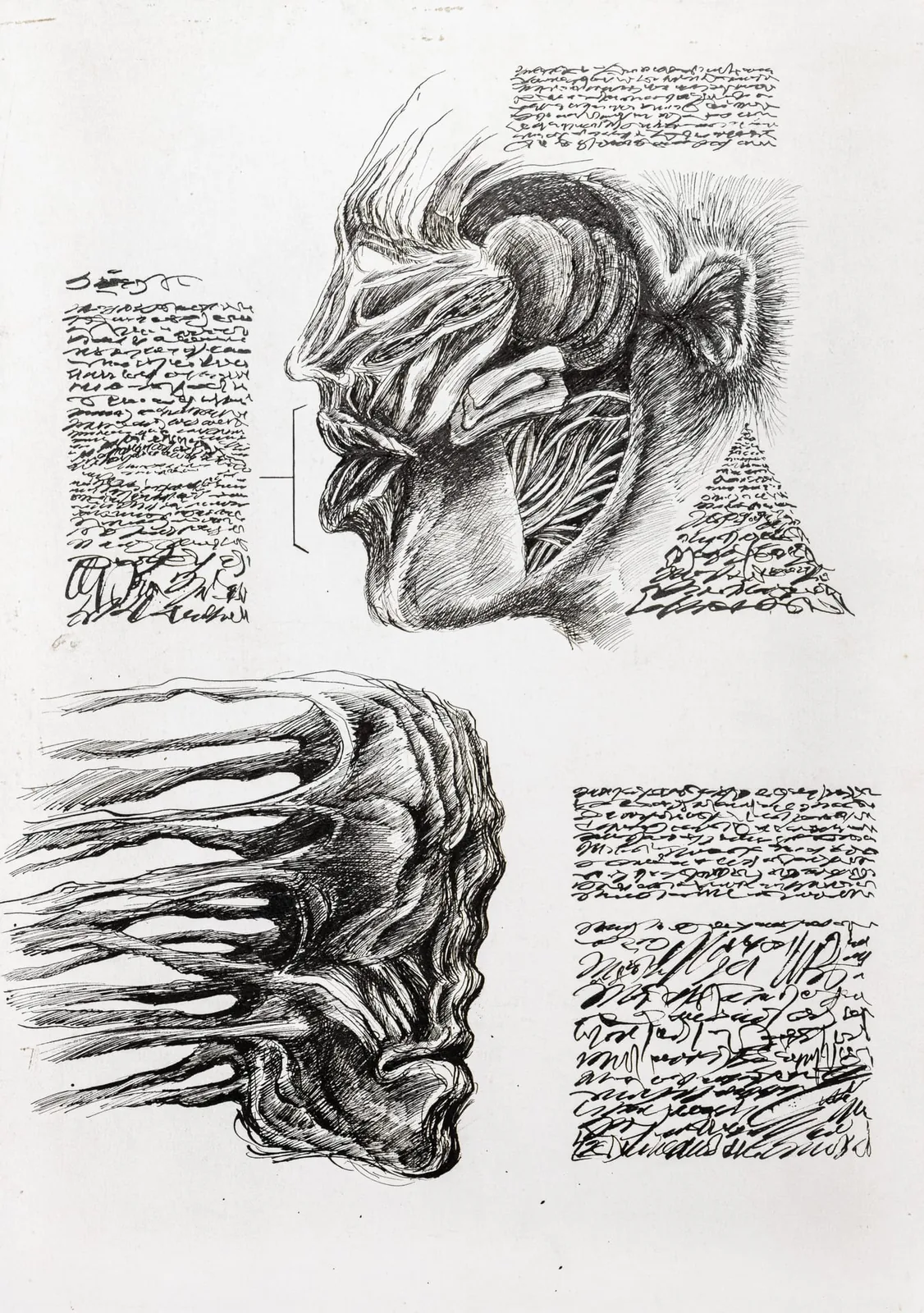 Anatomies — encre sur papier — 1975